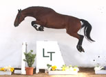 Tatabra S'il vous plait