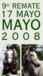9* Remate Mayo 2008