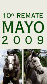 10* Remate Mayo 2009