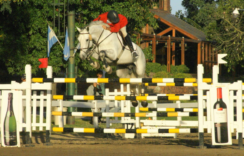 Milano de Flore 1.50mts