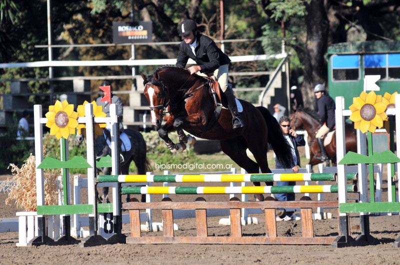 Quitender debuts