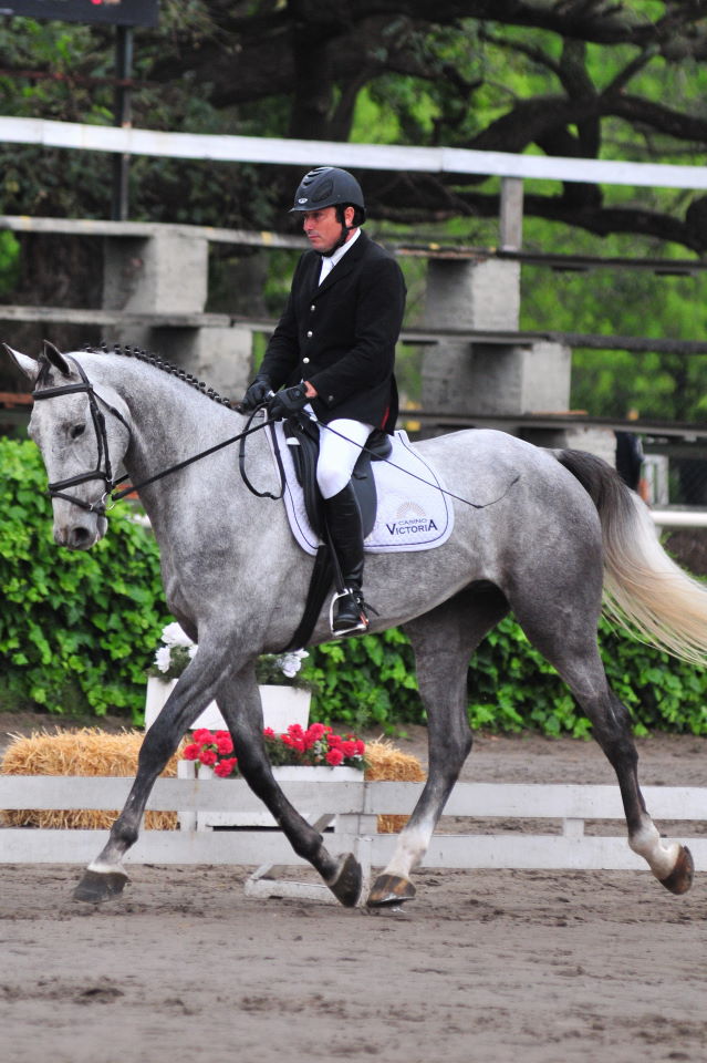 Tatabra Rigoletto / Copa Criadores