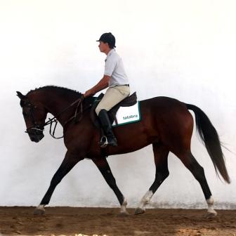 Lote 3 - Romanoff